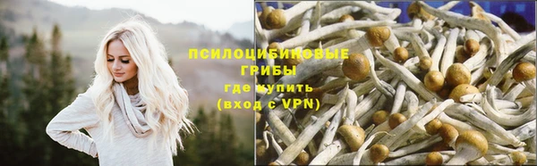 кокс Новодвинск