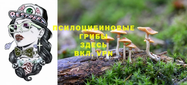 твердый Новокубанск