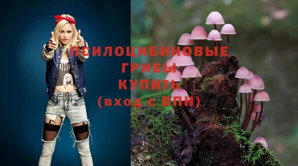 кокс Новодвинск