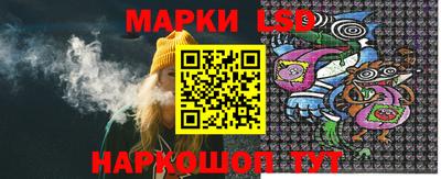 шишки Изобильный