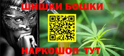 шишки Изобильный
