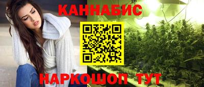 шишки Изобильный