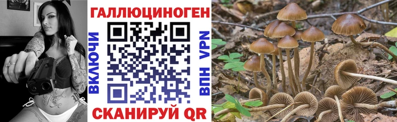 наркошоп  Северодвинск  Псилоцибиновые грибы MAGIC MUSHROOMS 