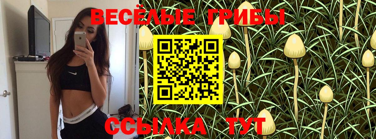 Галлюциногенные грибы Magic Shrooms  Вход с VPN  Северодвинск  Псилоцибиновые грибы прущие грибы 