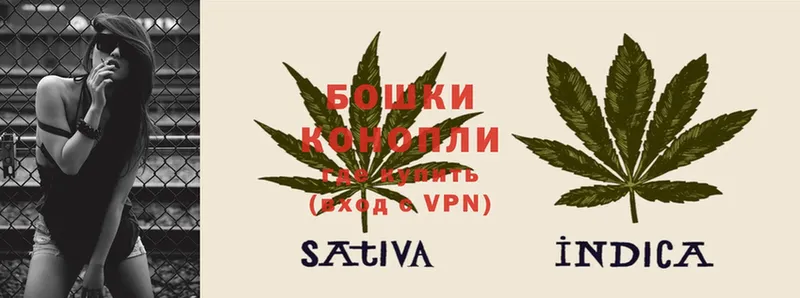 Конопля SATIVA & INDICA  купить   Северодвинск 