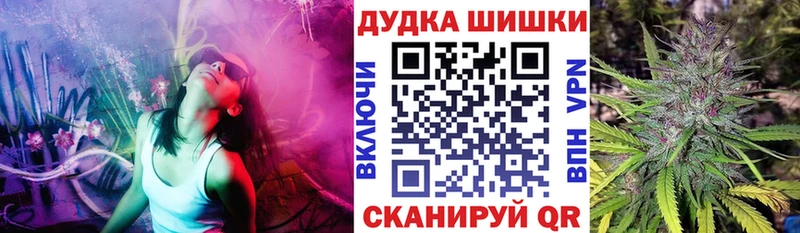 Канабис ГИДРОПОН  купить  цена  мега маркетплейс  Северодвинск 